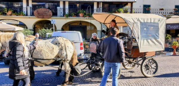 From Florence: Carriage Ride in Chianti Hills With Lunch - Frequently Asked Questions