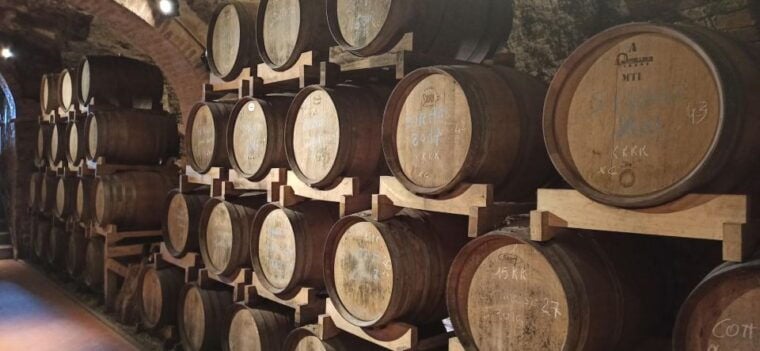 From Florence: Chianti afternoon tour & visit to 2 wineries - Final Thoughts