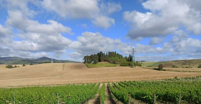 From Florence: Chianti Afternoon Tour & Visit to 2 Wineries - Immersive Nature Experience