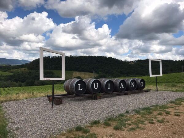 From Florence: Chianti Classico With Lunch Half-Day - Directions