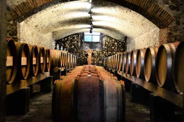From Florence: Chianti Classico With Lunch Half-Day - Frequently Asked Questions