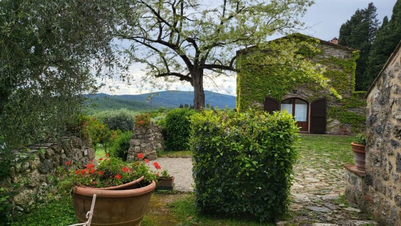 From Florence: Chianti Half-Day Afternoon Tour - What Could Be Better?  