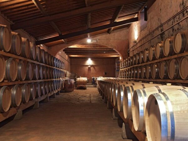 From Florence: Chianti Half-Day Afternoon Tour - Customer Reviews