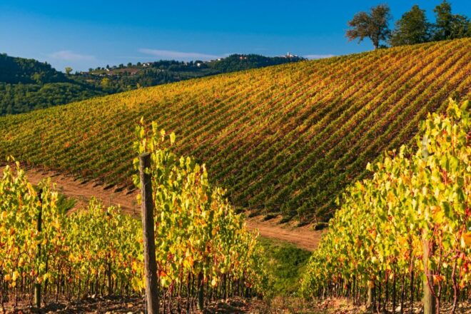 From Florence: Chianti Hills Half-Day Tour With Wine Tasting - Review Details