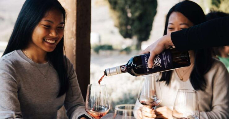 From Florence: Chianti Hills Wineries Tour With Tasting - Booking Information and Policies