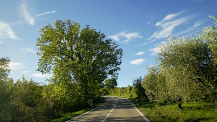 From Florence: Chianti, Montalcino & Montepulciano - Minivan - Tour Details