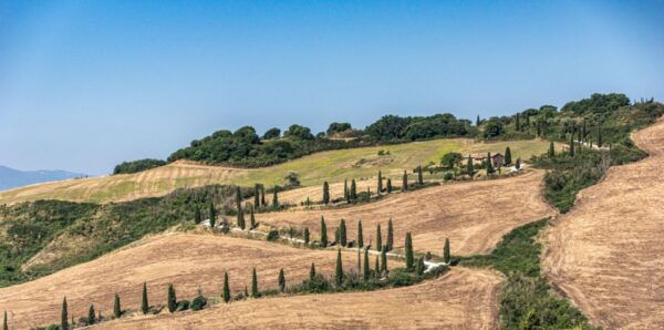 From Florence: Chianti, Montalcino & Montepulciano - Minivan - Directions