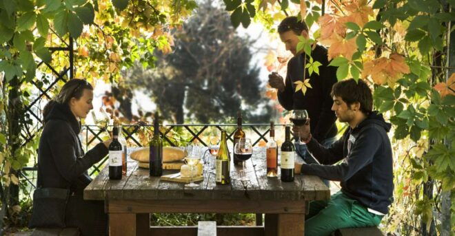 From Florence: Chianti Rufina Private Tour And Food Tasting - Tour Activity Description