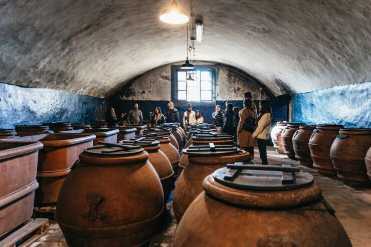 From Florence: Chianti Wine and Food Tasting Safari - Experience