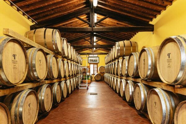 From Florence: Chianti Wine and Food Tasting Safari - Live Tour Guide