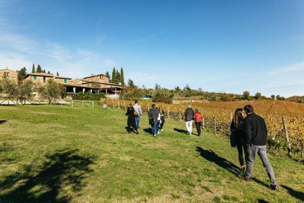 From Florence: Chianti Wine and Food Tasting Safari - Off-road Exploration