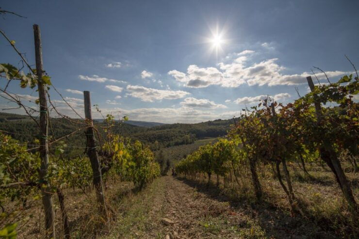 From Florence: Chianti Wine Tastings at Sunset Day Trip - Booking and Logistics