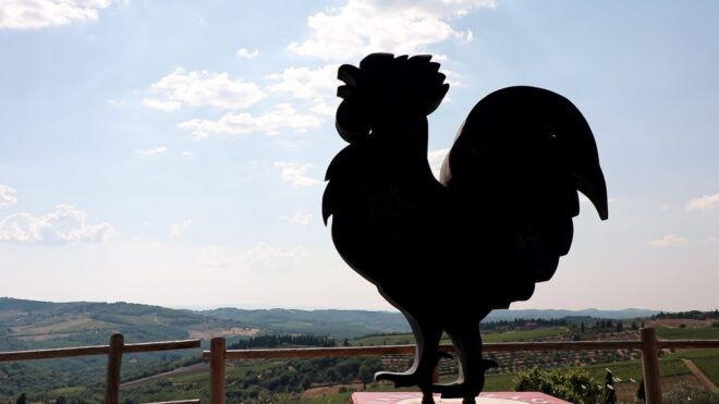 From Florence: Chianti Wine Tour With Tastings - Product Details