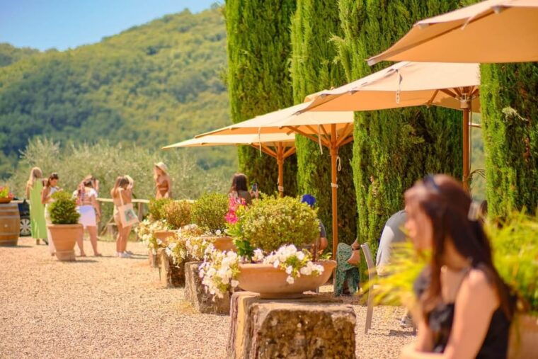 From Florence: Chianti Wineries Tour With 7 Wine Tastings - First Winery Experience