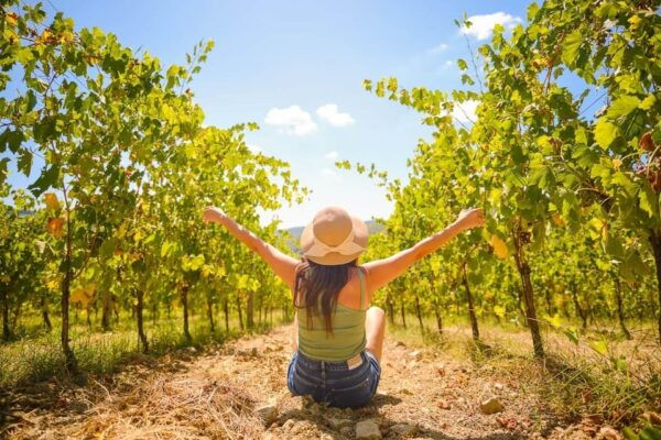From Florence: Chianti Wineries Tour With 7 Wine Tastings - Customer Reviews
