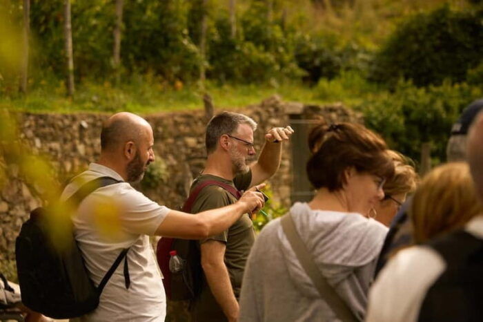 From Florence: Cinque Terre Day Trip with Local Guide - Final Thoughts
