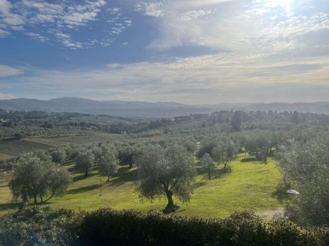From Florence: Coffee & Olive Oil Small Group Tour - Experience