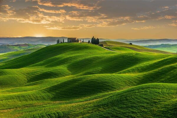 From Florence: Day Trip Pisa, Siena & San Gimignano W/Lunch - Common Questions