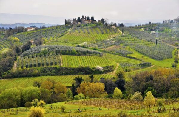 From Florence: Day Trip Pisa, Siena & San Gimignano W/Lunch - The Sum Up