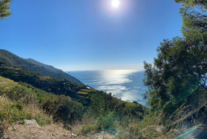 From Florence: Day Trip to the Cinque Terre - Tour Requirements