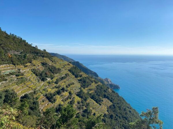 From Florence: Day Trip to the Cinque Terre - The Sum Up