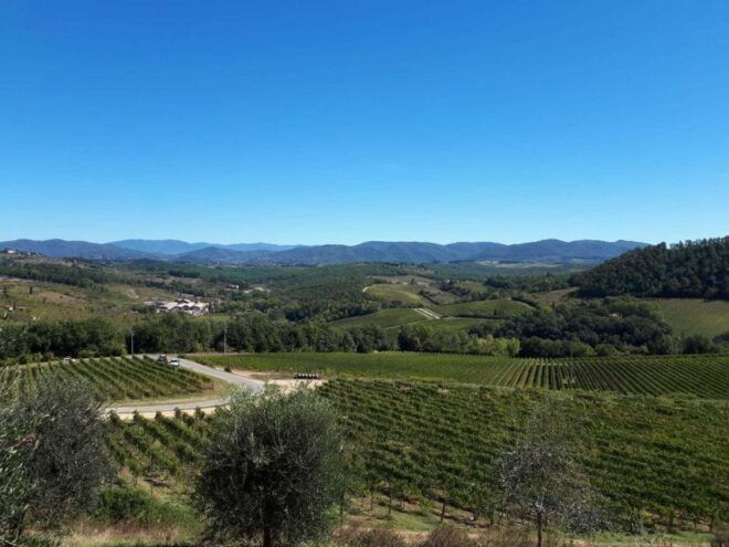 From Florence: Exclusive Chianti Wine Tour to 2 Wineries - Meeting Point Details