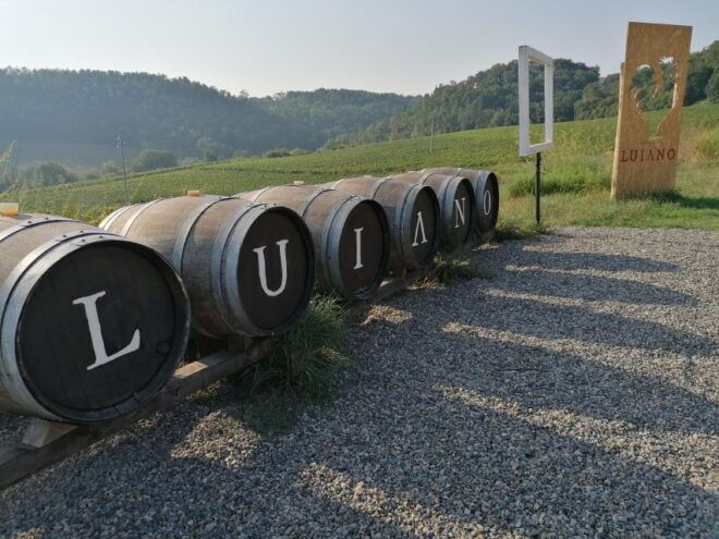 From Florence: Exclusive Chianti Wine Tour to 2 Wineries - Customer Reviews