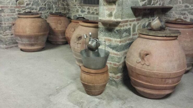 From Florence: Horseback Ride and Olive Oil Tour With Lunch - Activity Details
