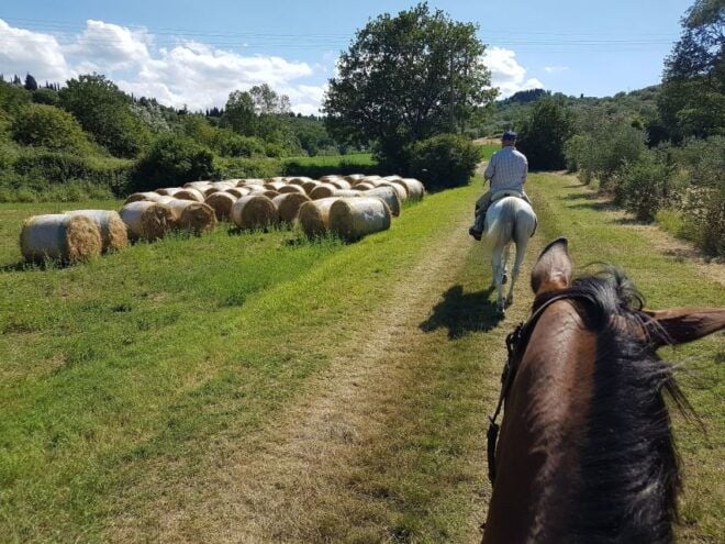 From Florence: Horseback Ride and Olive Oil Tour With Lunch - Customer Reviews