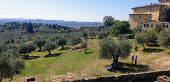 From Florence: Horseback Ride and Olive Oil Tour With Lunch - Important Information