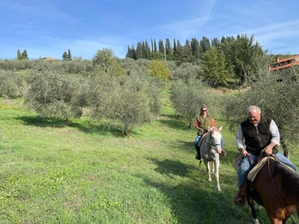 From Florence: Horseback Ride and Olive Oil Tour With Lunch - The Sum Up