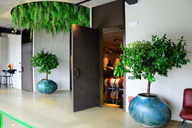 From Florence: Maremma Private Wine Tour and Suvereto - Frequently Asked Questions