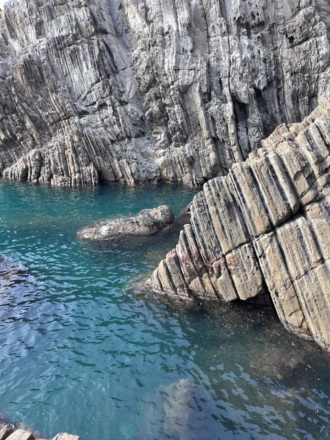 From Florence : Pisa and Cinque Terre Semi Private Tour - Culinary Experiences