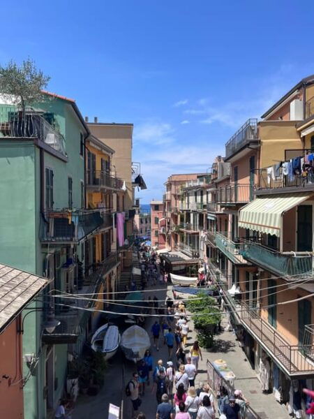 From Florence : Pisa and Cinque Terre Semi Private Tour - Accessibility Features