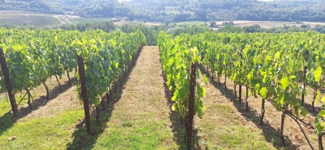 From Florence: Pisa/Chianti Half Day Tour With Wine Tasting - Itinerary