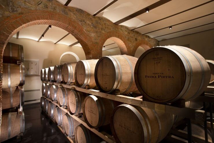 From Florence PRIVATE: Bolgheri Wine Tour With Tasting - Tour Description