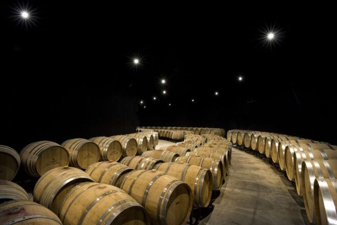 From Florence PRIVATE: Bolgheri Wine Tour With Tasting - Not Suitable For