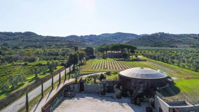 From Florence PRIVATE: Bolgheri Wine Tour With Tasting - Logistics