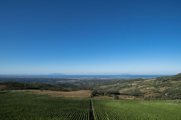 From Florence PRIVATE: Bolgheri Wine Tour With Tasting - Directions