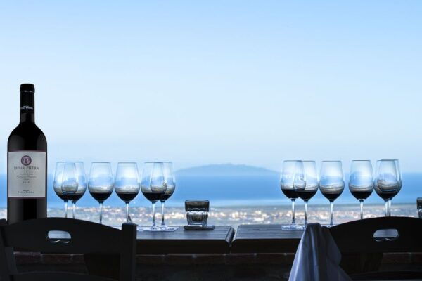 From Florence PRIVATE: Bolgheri Wine Tour With Tasting - Highlights