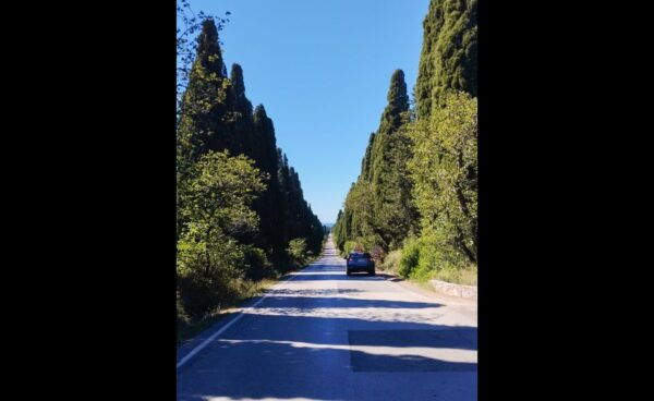 From Florence PRIVATE: Bolgheri Wine Tour With Tasting - Frequently Asked Questions