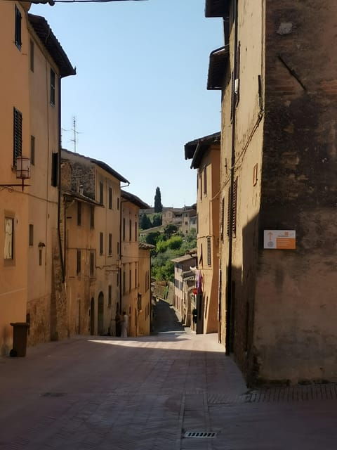 From Florence: Private Day Trip to San Gimignano & Pisa - Inclusions and Exclusions