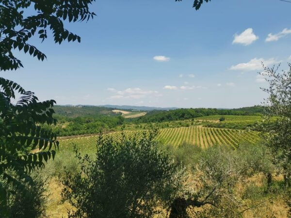 From Florence: Private Day Trip to San Gimignano & Pisa - Frequently Asked Questions