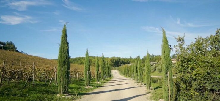 From Florence: Private Half-Day Chianti Tour & Wine Tasting - Tour Details
