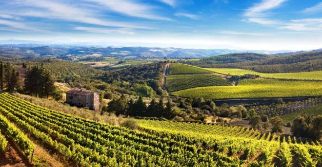 From Florence: Private Half-Day Chianti Tour & Wine Tasting - Additional Information