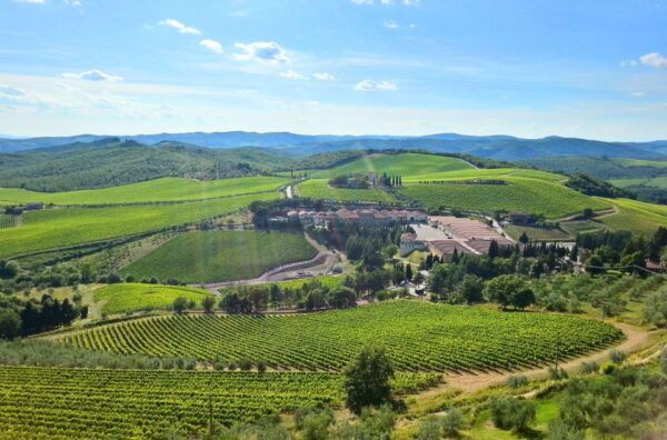 From Florence: Private Half-Day Chianti Tour & Wine Tasting - The Sum Up