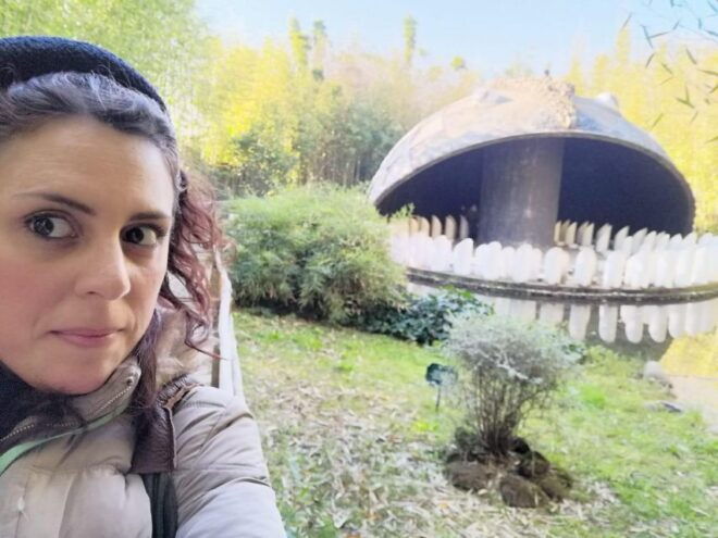 From Florence: Private Pinocchio History Tour - Tour Experience