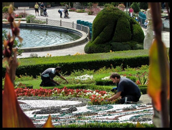 From Florence: Private Pinocchio History Tour - Inclusions