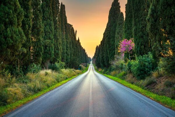 From Florence: Private Transfer to Bolgheri - The Sum Up