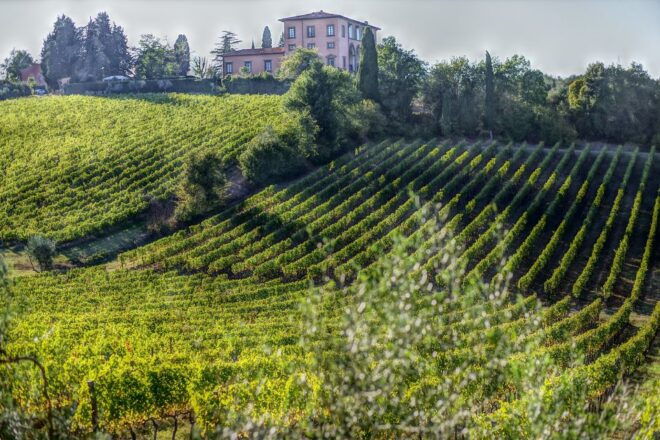 From Florence: PRIVATE Wine Experience in Chianti Classico - Tour Inclusions